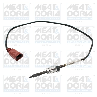 Sensor, exhaust gas temperature
